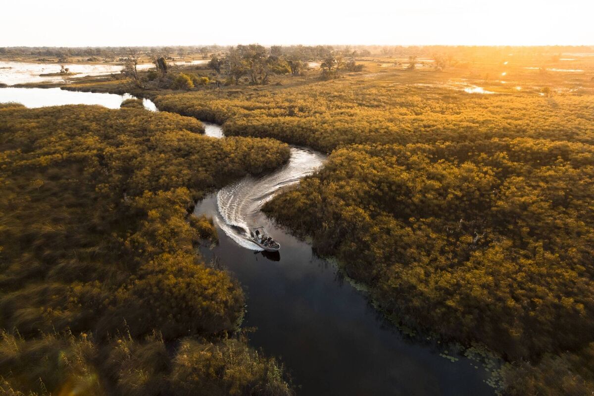 The Okanago Delta, Botswana The Okanago Delta, Botswana