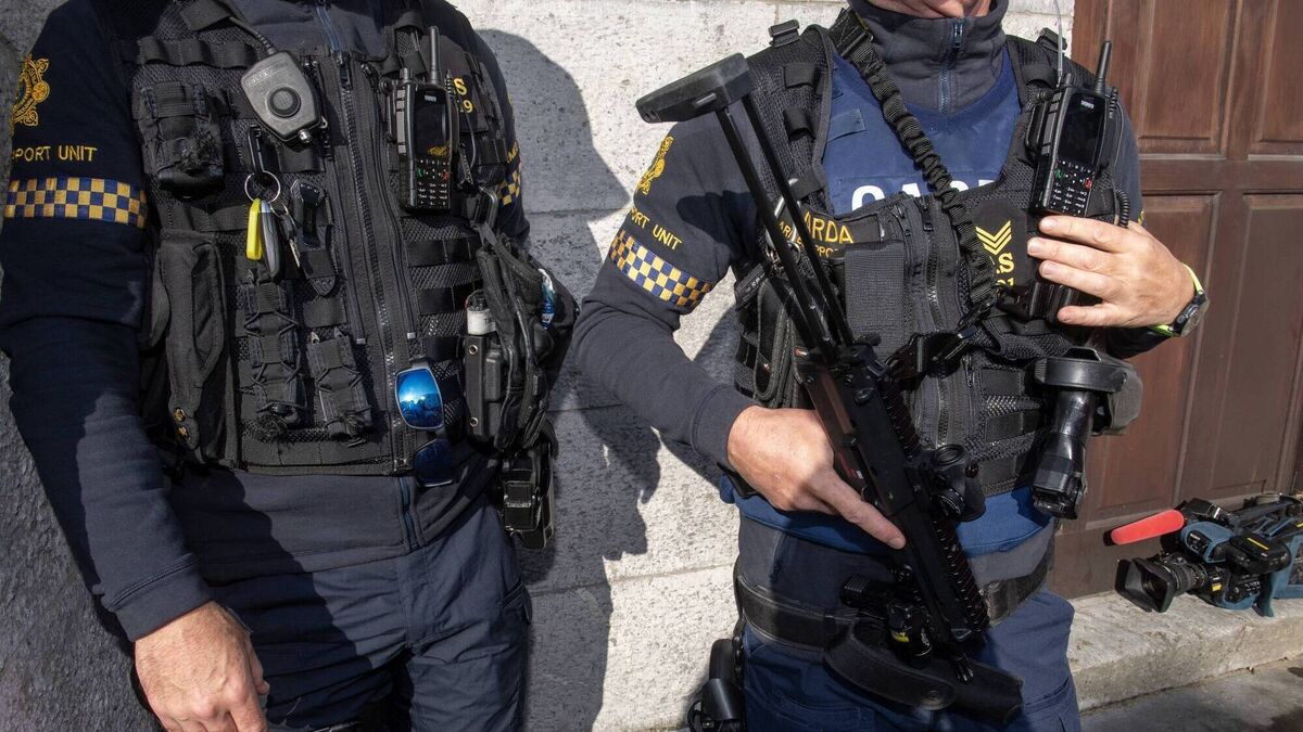 Kerry gardaí say the county needs its own armed support unit - Vimarsana News