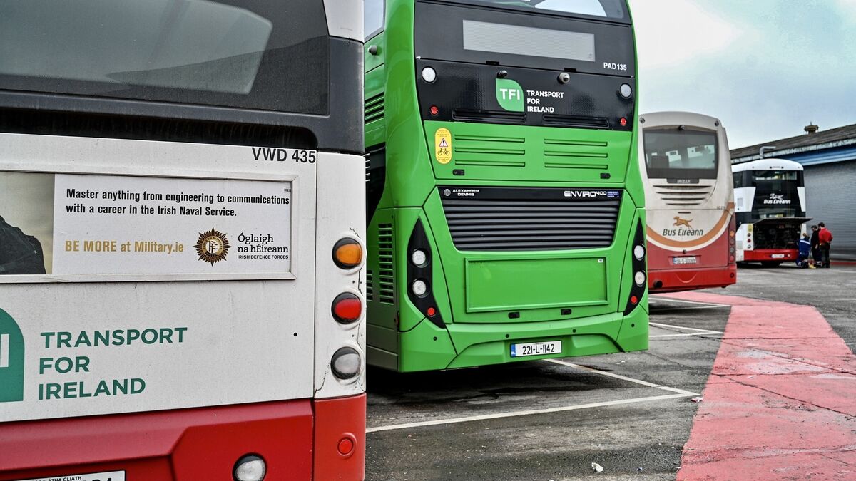 Cork bus routes to be reviewed amid reliability concerns - Vimarsana News