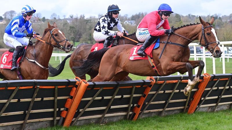 Double delight for O'Keeffe as Sir Gerhard and Asterion Forlonge deliver in Cork