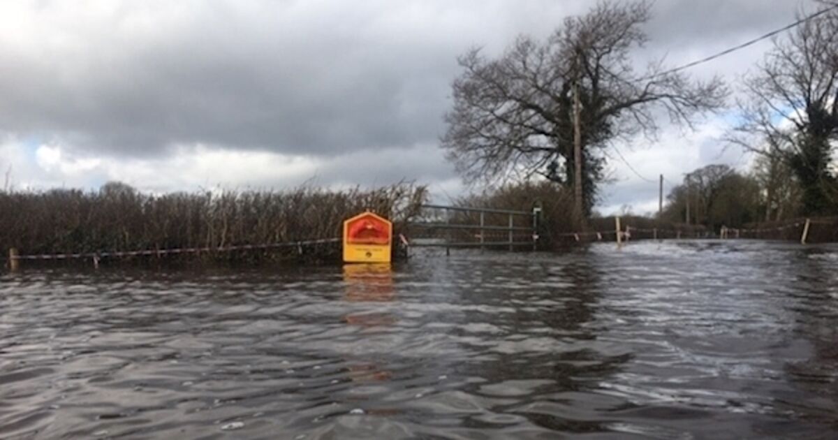 Homes in Limerick and Clare flooded after Shannon bursts banks