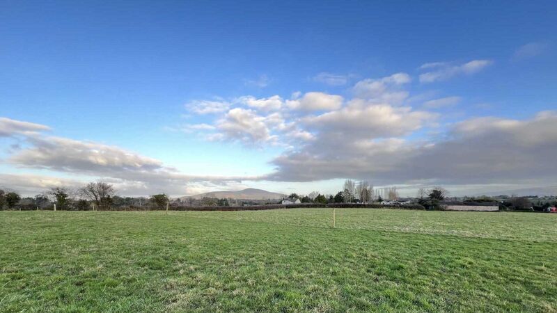 Brace of South Tipperary auctions sees farm achieve almost €38k/acre Brace of South Tipperary auctions sees farm achieve almost €38k/acre