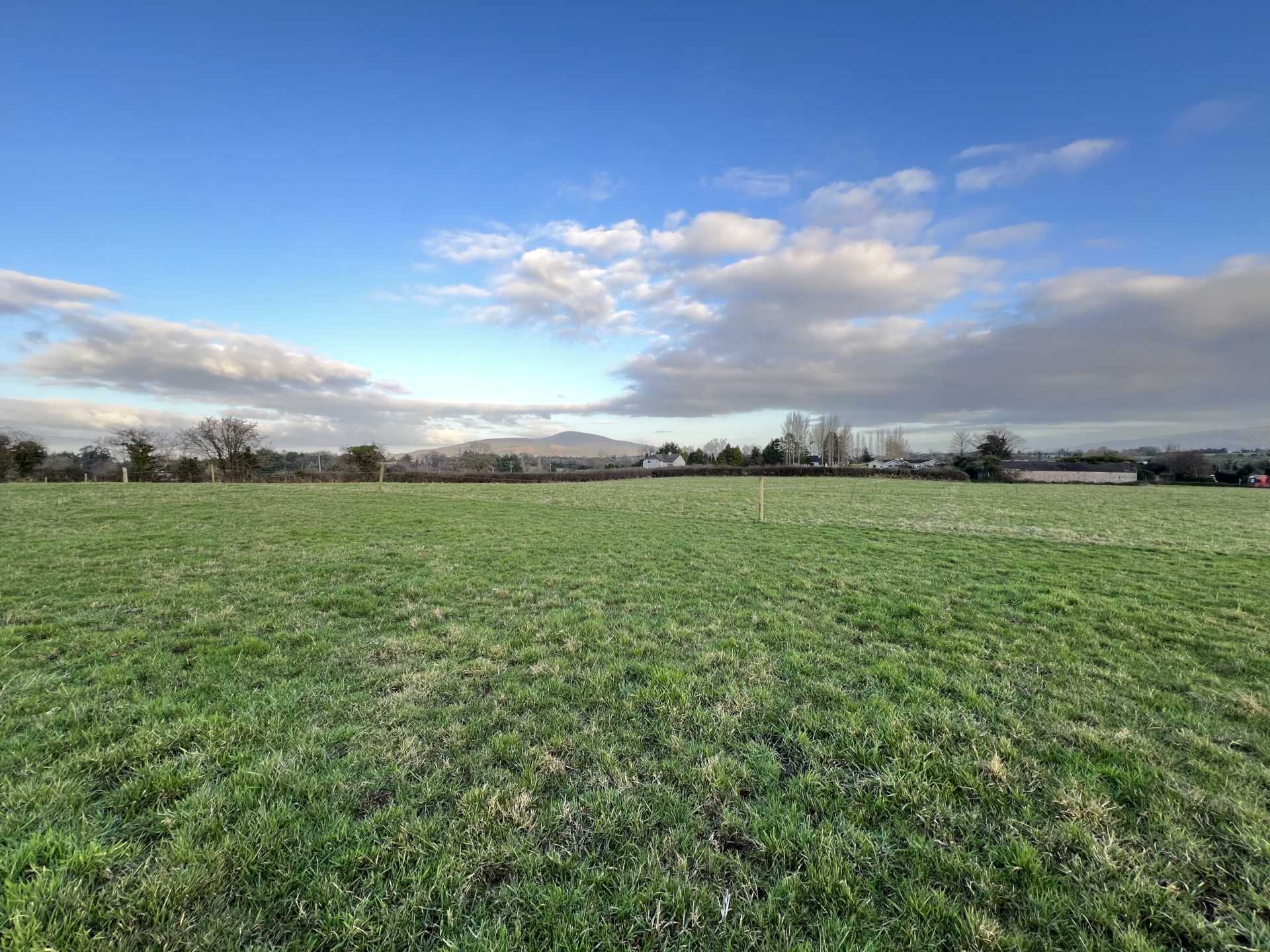 Brace of South Tipperary auctions sees farm achieve almost €38k/acre