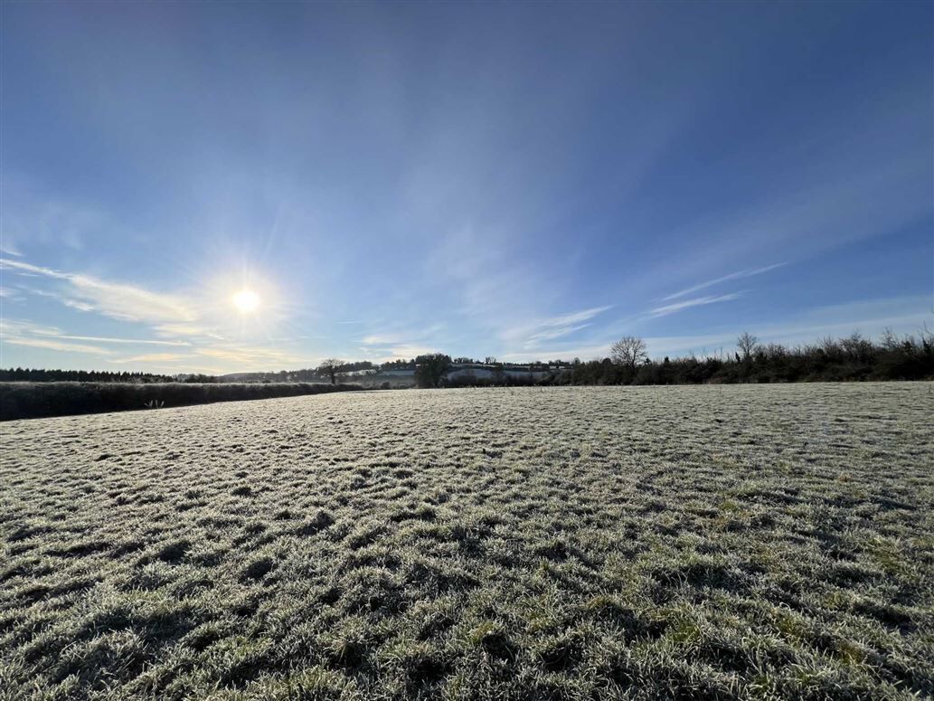 Some of the lands on the 60-acre farm sold immediately after auction for circa €10k/acre.