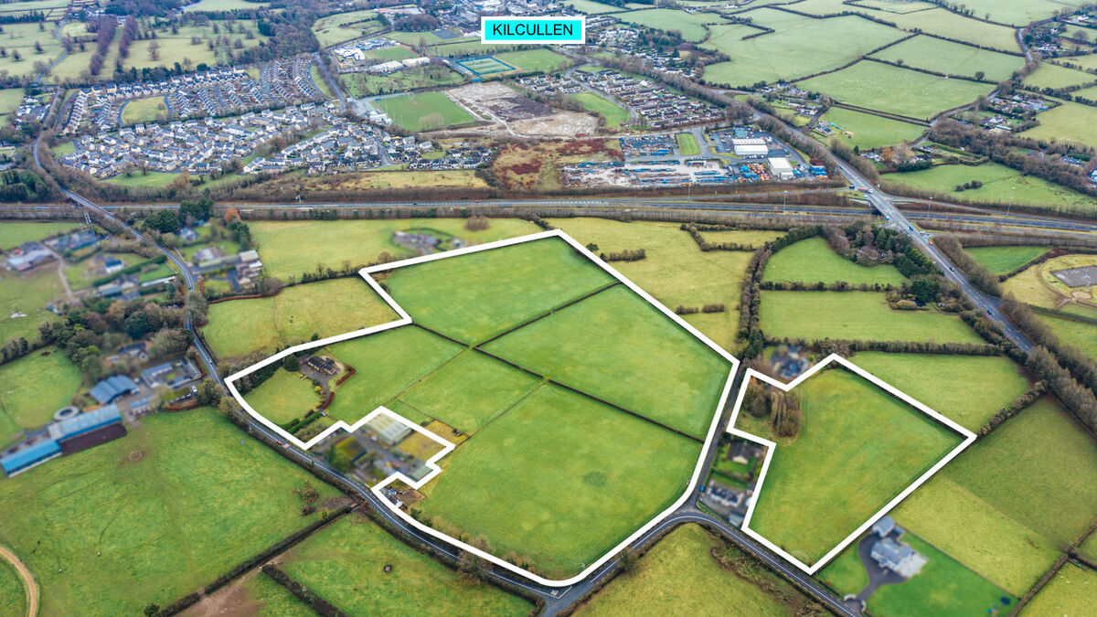 25-acre holding in Kildare fetches almost €1.2m at auction - Vimarsana News