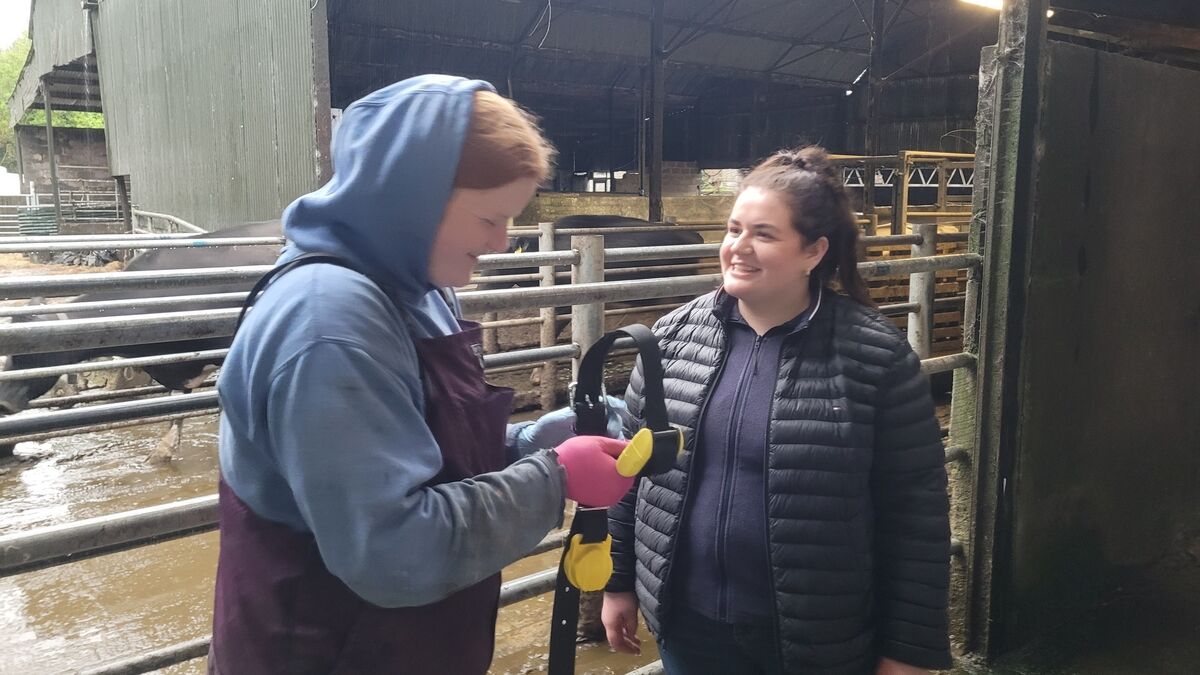 Paula Hynes: Irish farmers shouldn't need to rely on hardship funds - Vimarsana News