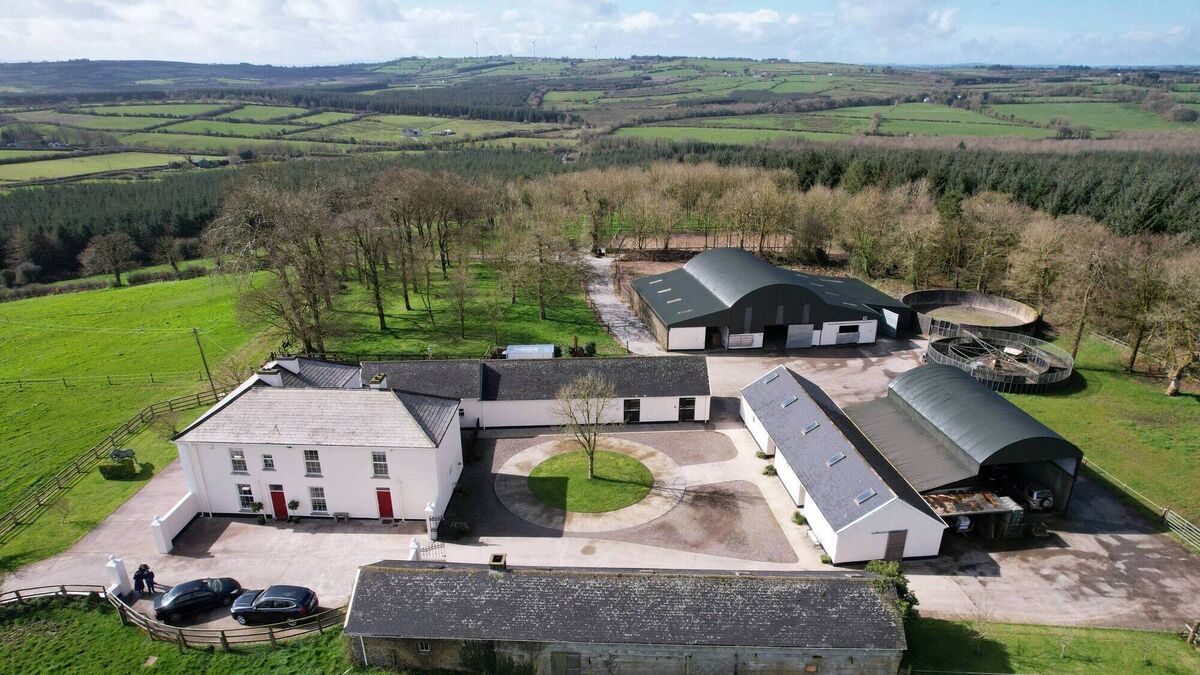 North Cork home for €1m is perfect for a horse loving family - Vimarsana News