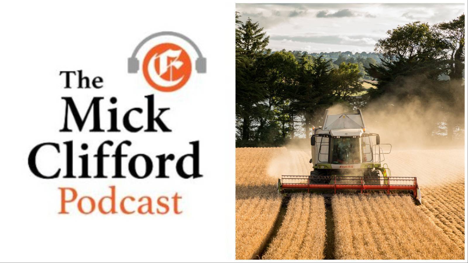 The Mick Clifford Podcast: How does our food system work?