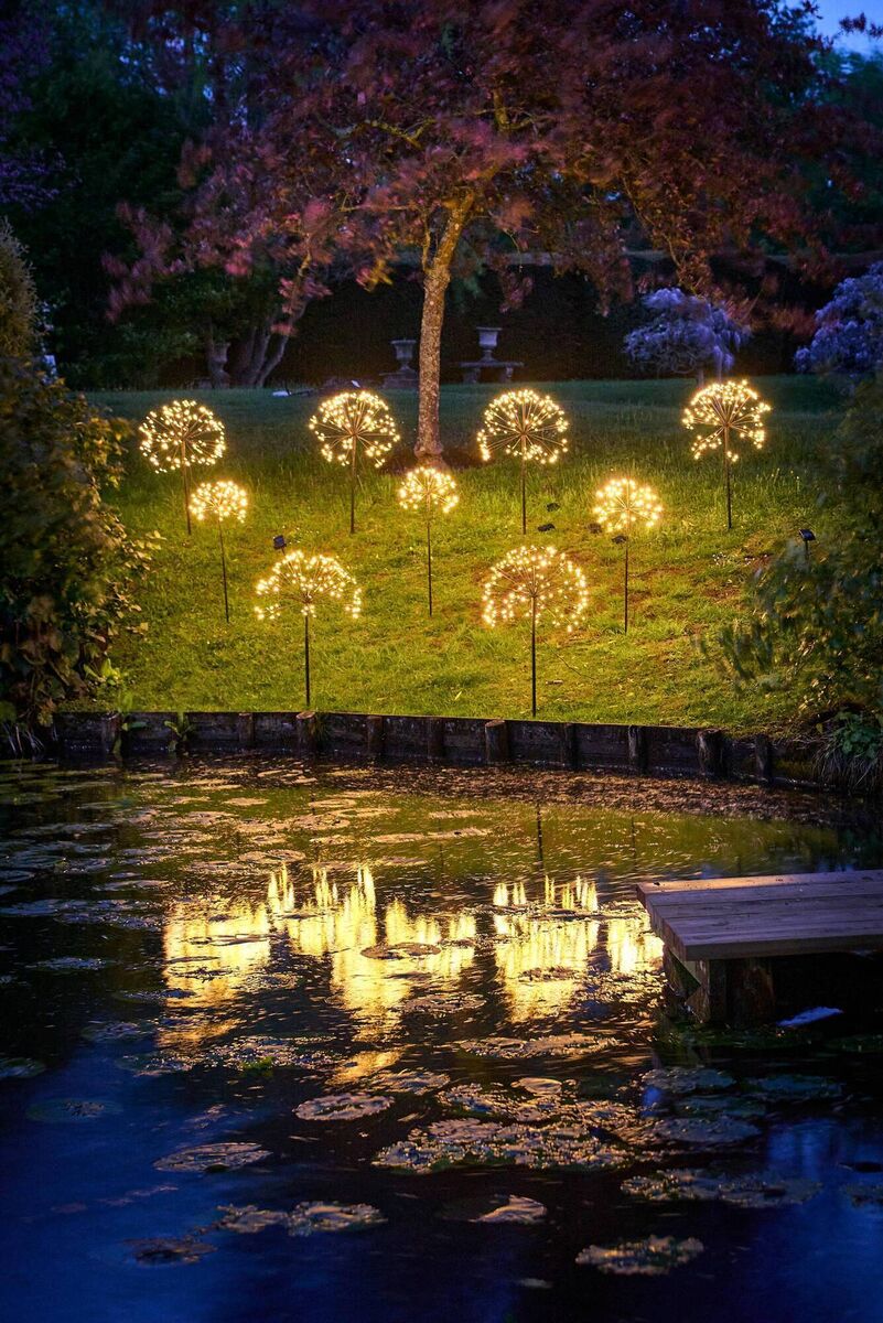 Flower-heads and starbursts are trending this year in white and colour phase models. Quality metal Dandelion, €35.95, Annabel James. Flower-heads and starbursts are trending this year in white and colour phase models. Quality metal Dandelion, €35.95, Annabel James.Â