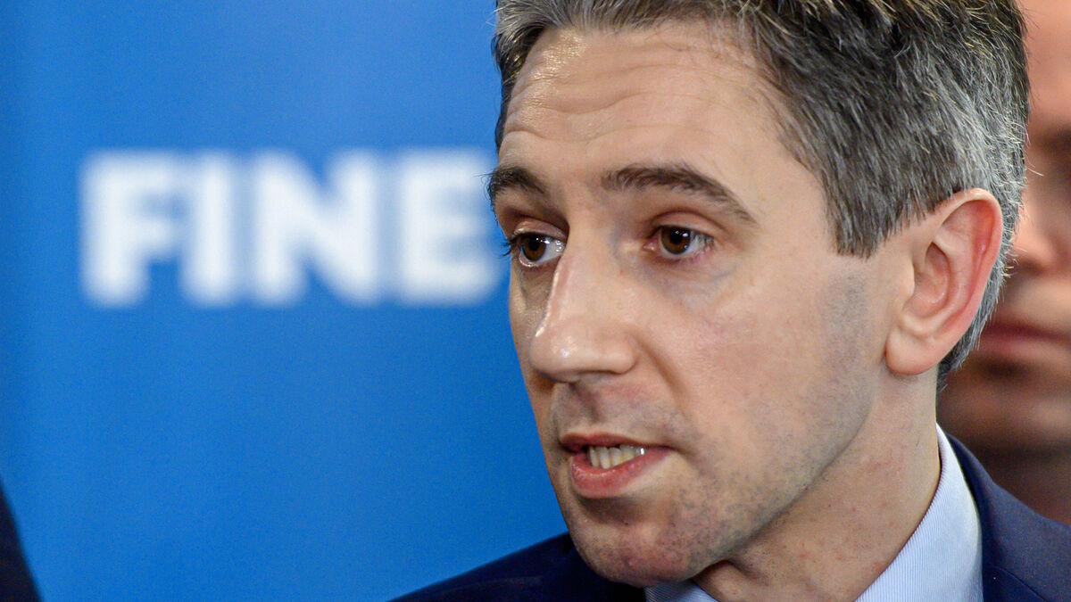 Elaine Loughlin: Unfinished health business must now be priority for Harris as Taoiseach - Vimarsana News