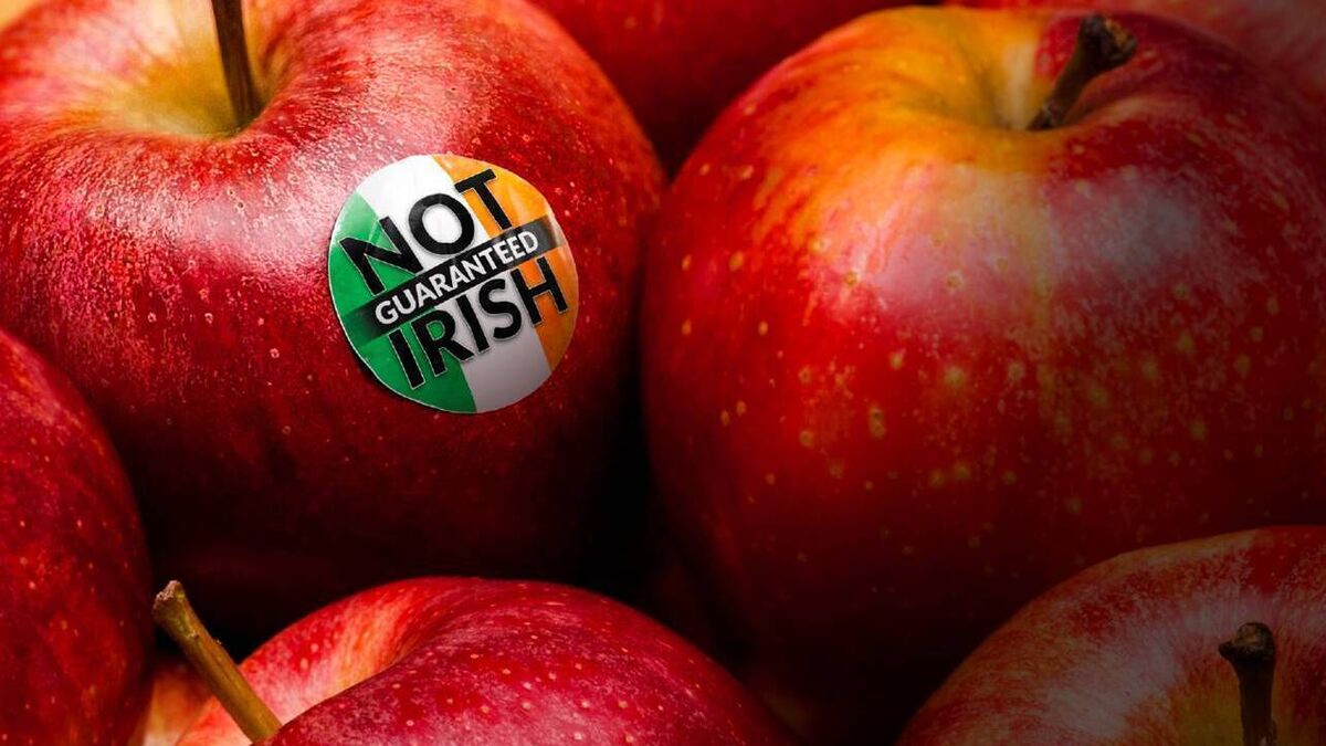 Joe McNamee: Our reliance on food imports is to our detriment - Vimarsana News