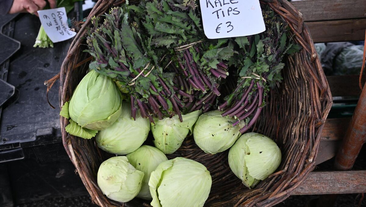 Kale tips at the Robinson's vegetables stall at the farmers market in Macroom, Co Cork. We are able to grow a very wide range of produce in Ireland. Picture: Dan Linehan