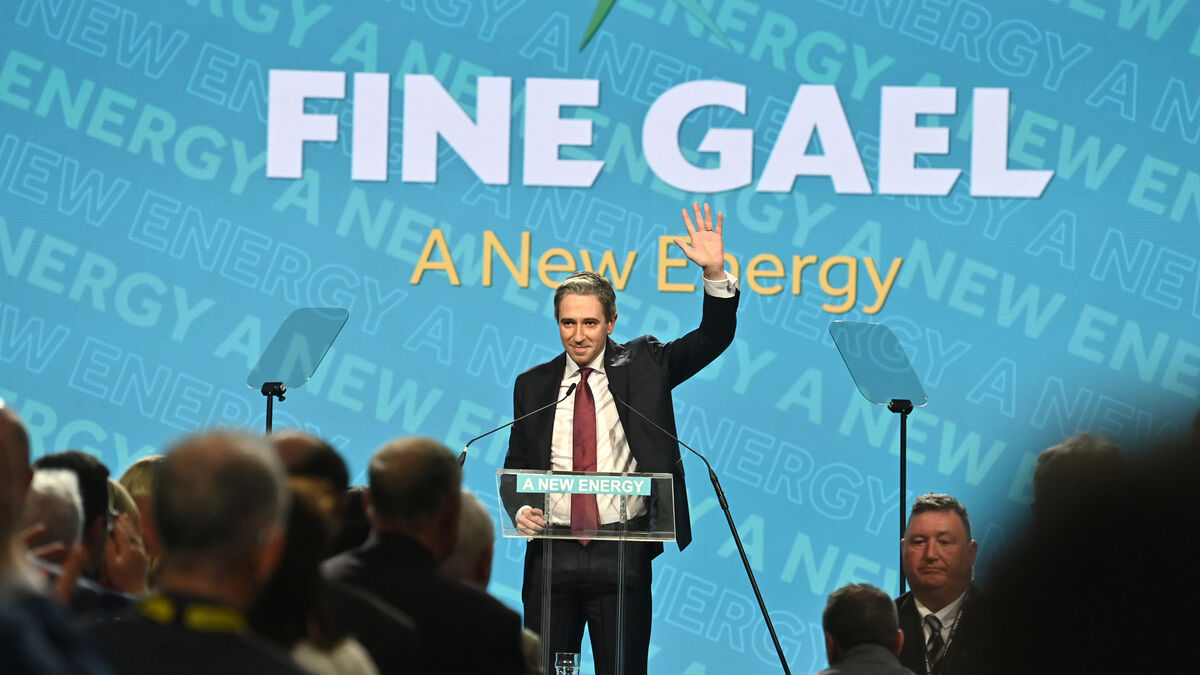 Harris to 'immediately convene' Dublin City Centre Task Force to tackle violence when Taoiseach - Vimarsana News