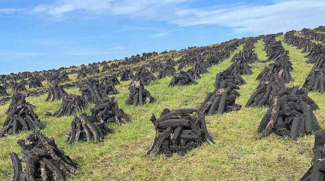 Cutting turf is done out of economic necessity, not as an act of quaint catharsis.