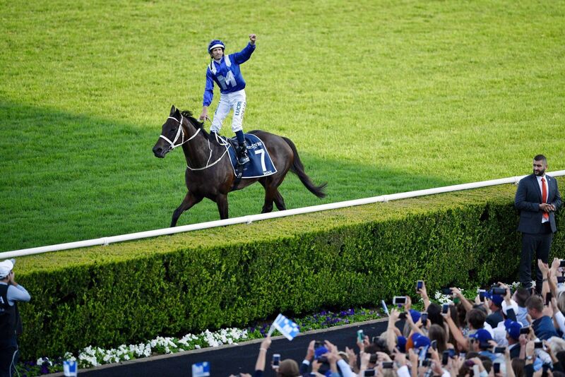 Champion Australian mare Winx bid farewell in 2019 by winning her 33rd race in a row, ending her glittering career on a high Champion Australian mare Winx bid farewell in 2019 by winning her 33rd race in a row, ending her glittering career on a high