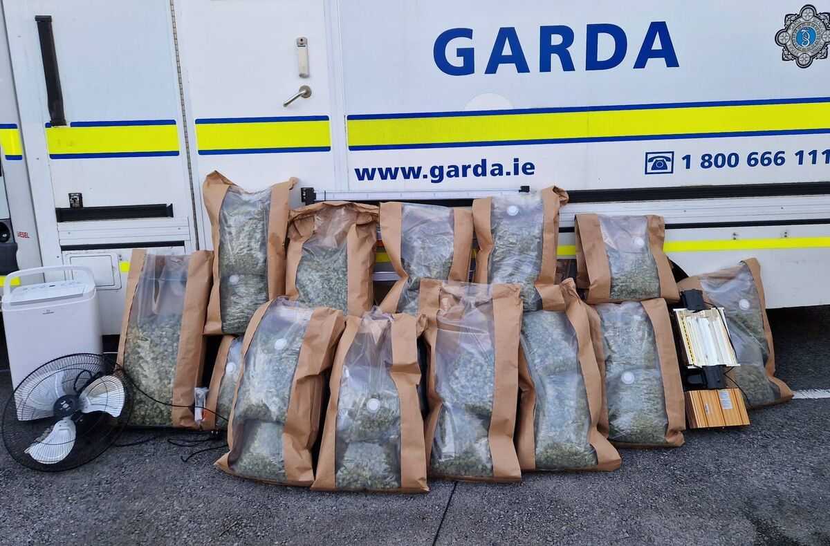 Cannabis plants and cannabis herb with an estimated street value of €700,000 was seized. Picture: An Garda Síochána Cannabis plants and cannabis herb with an estimated street value of €700,000 was seized. Picture: An Garda Síochána