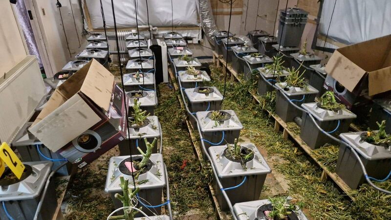 Three men arrested in connection with €700k Roscommon drug seizure