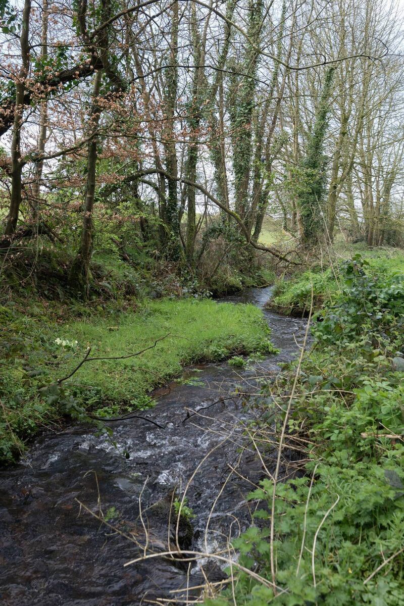 Stream on the land, but safely out of harm's way