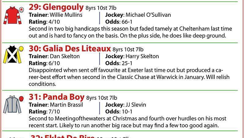Grand National runners: Pinstickers' guide to 2024 Aintree race