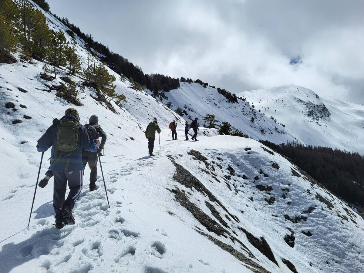 A trip to the Alps to track wolves into their mountain habitats, learn about how they move through the landscape, and get an appreciation for the environment in which they live. Picture: Pádraic Fogarty