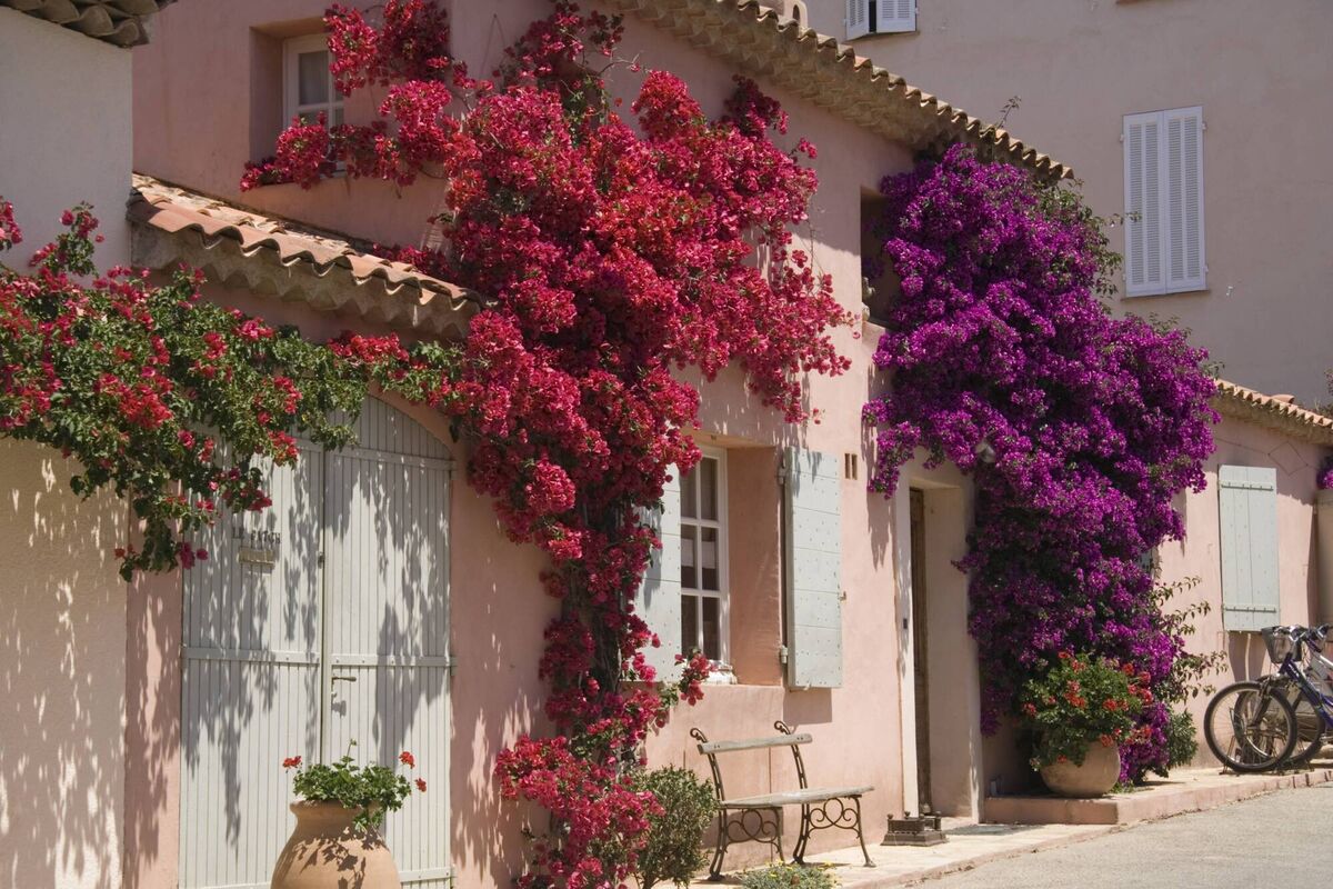 A hot sunny afternoon on the island of Porquerolles.