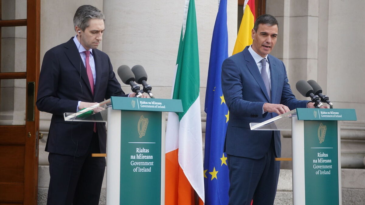Ireland and Spain 'will recognise Palestine as a state this summer' - Vimarsana News