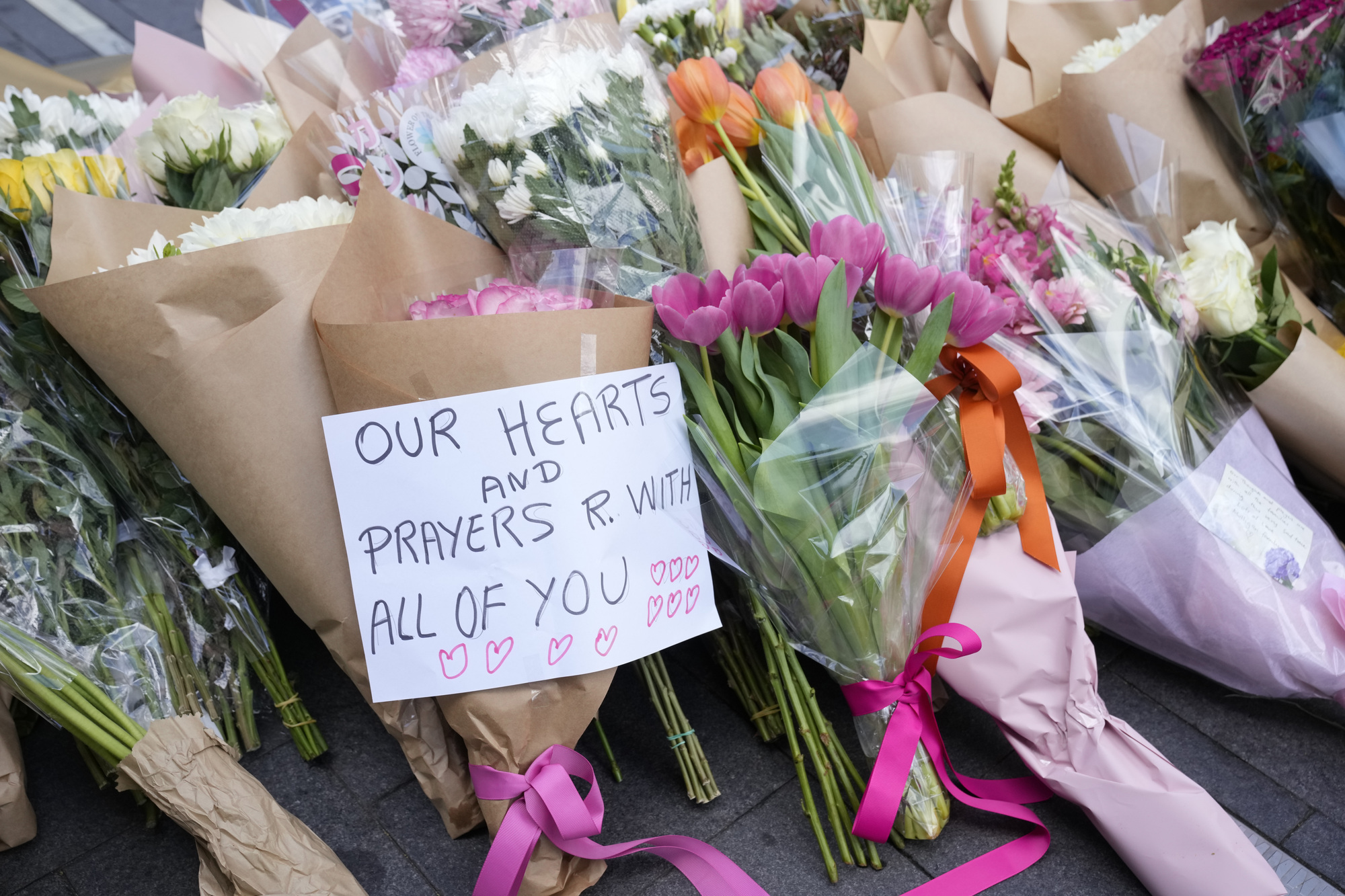 Police to investigate whether Sydney attacker targeted women