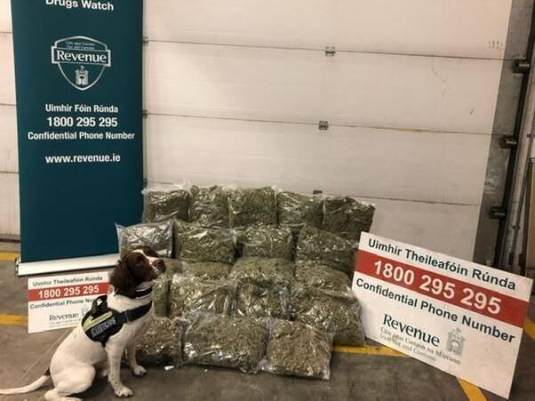 Detector dog Alfie with 43.5kg of herbal cannabis seized last week in Dublin. Picture: Revenue Detector dog Alfie with 43.5kg of herbal cannabis seized last week in Dublin. Picture: Revenue