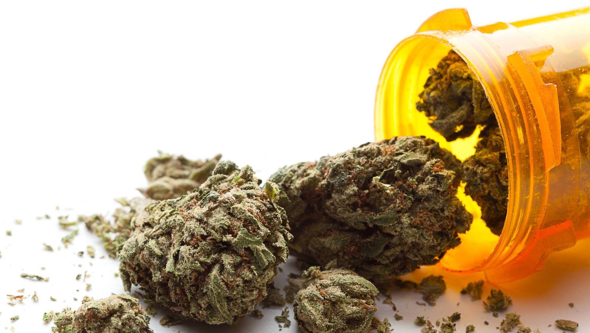 Just 53 people have enrolled for medical cannabis programme in seven years