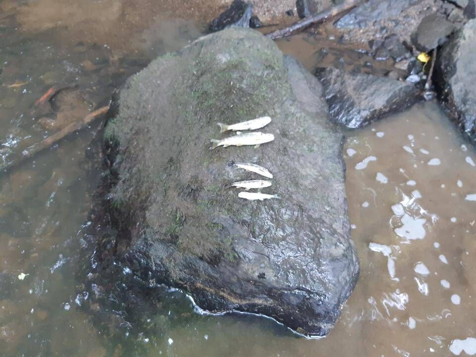 The fall-out from the prosecutions taken and those abandoned is likely to drag on for a few years to come and may end up having a further financial cost. File picture