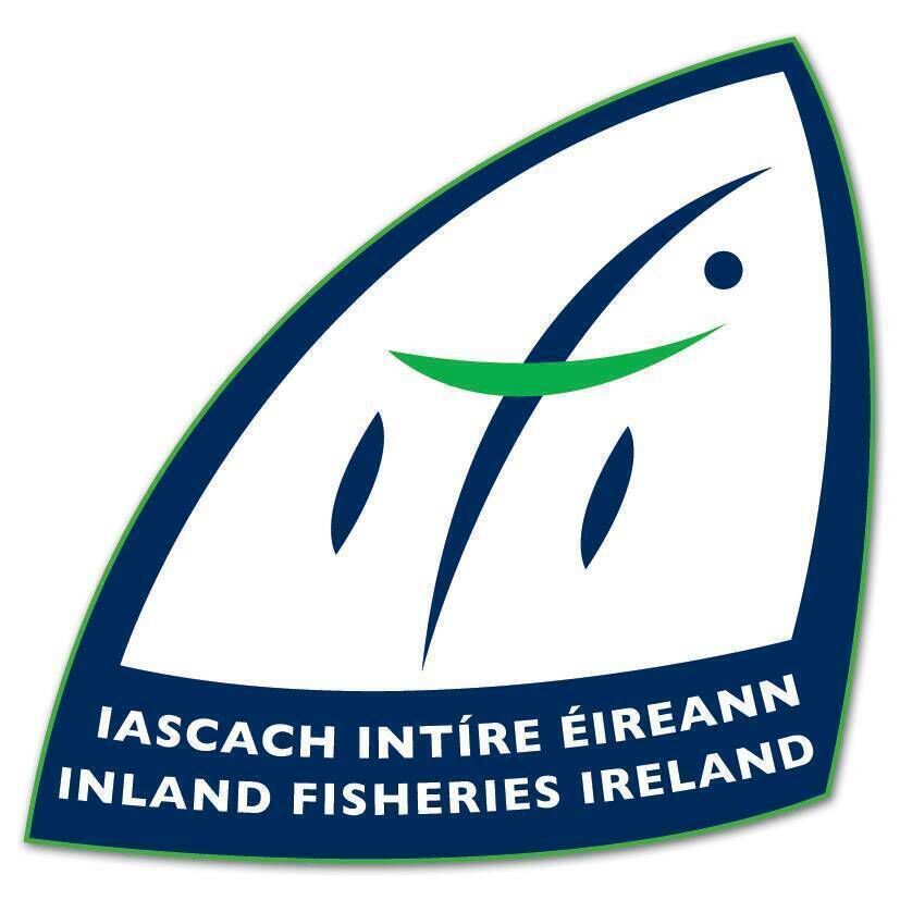 The most recent figures for fish kills from IFI show there were 25 reported incidents in 2022, accounting for about 10,300 fish.