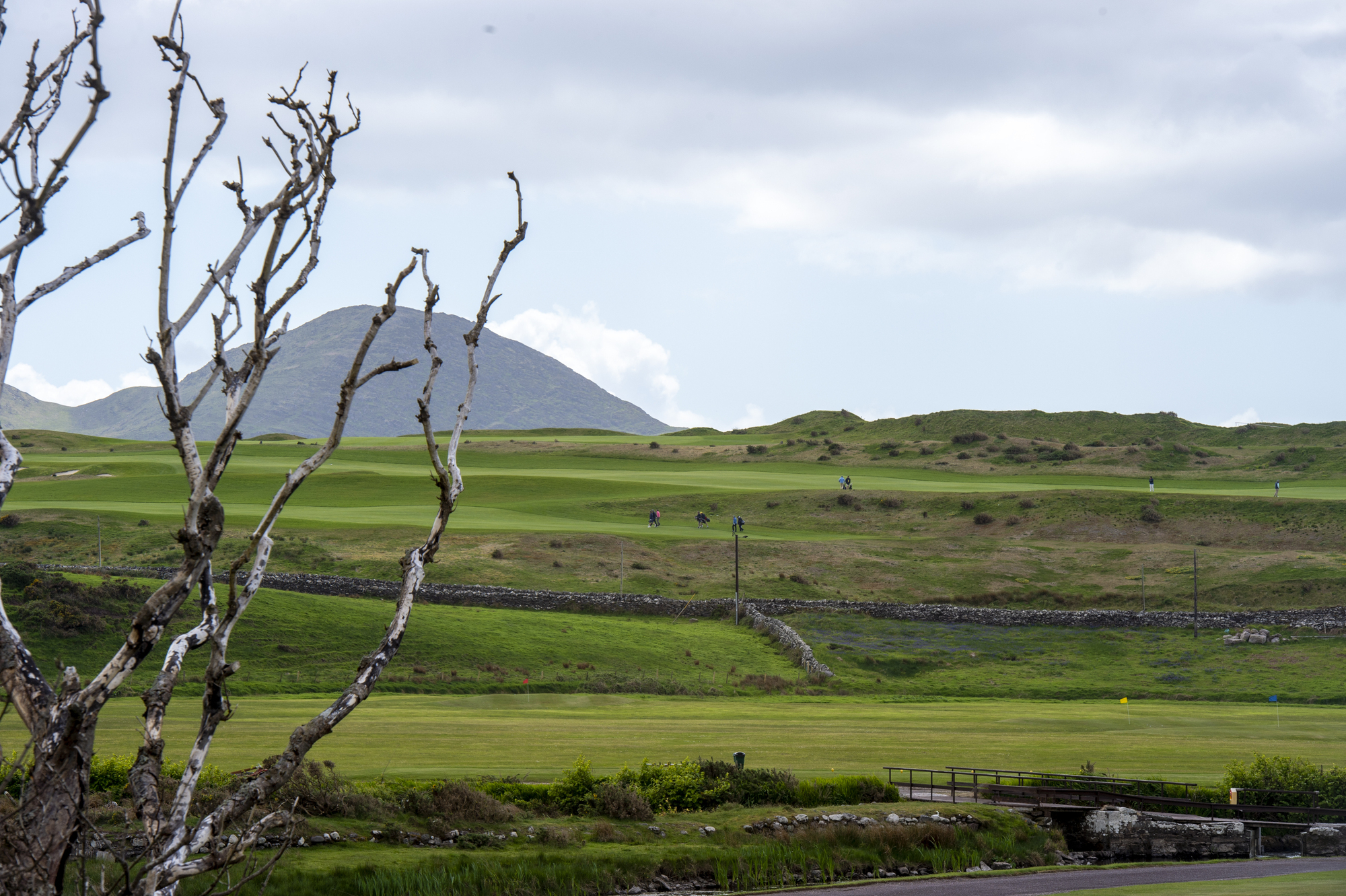 Delay to Kerry's Hogs Head golf development