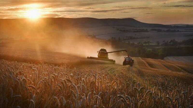 Tirlán announces €4m support package for tillage and beef farmers Tirlán announces €4m support package for tillage and beef farmers
