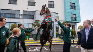 <p>STILL FULL OF LIFE: Grand National hero I Am Maximus rears up outside the Lord Bagenal Hotel with jockey Paul Townend, grooms Rachel Robins and Steven Cahill and trainer Willie Mullins at Tuesday's homecoming celebrations. 	Picture: Ben Brady/Inpho</p>