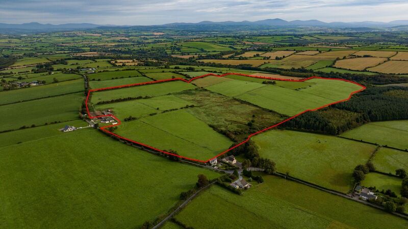 89-acre East Cork farm fetches €15k/acre at auction