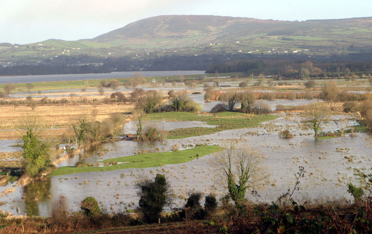 The wettest fields could take a month to dry. File picture. The wettest fields could take a month to dry. File picture.