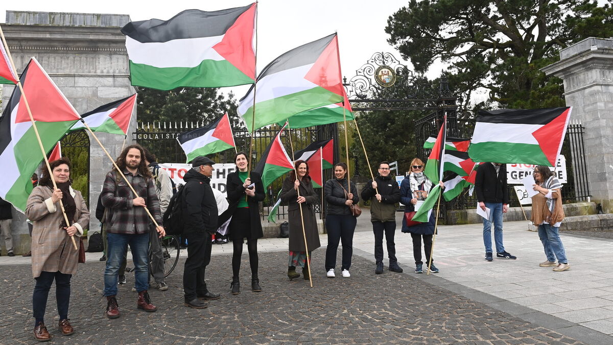 'Cut links with Israel's universities': Irish universities stage day of action for Palestine - Vimarsana News