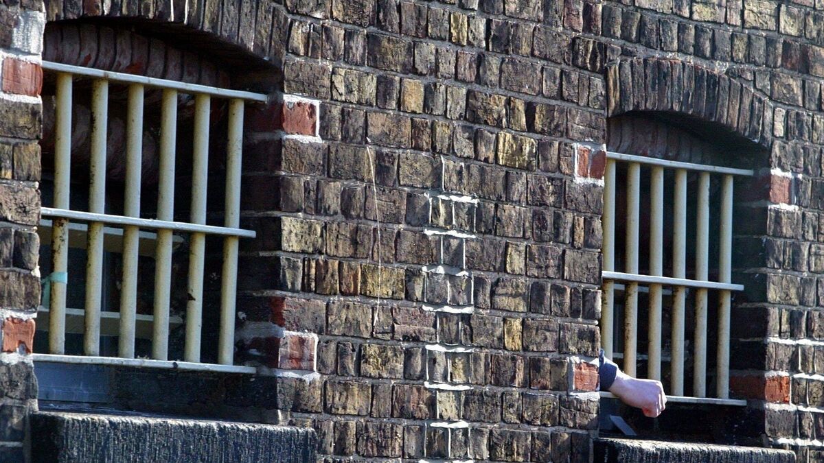 A return to penal populism will fail Ireland - Vimarsana News