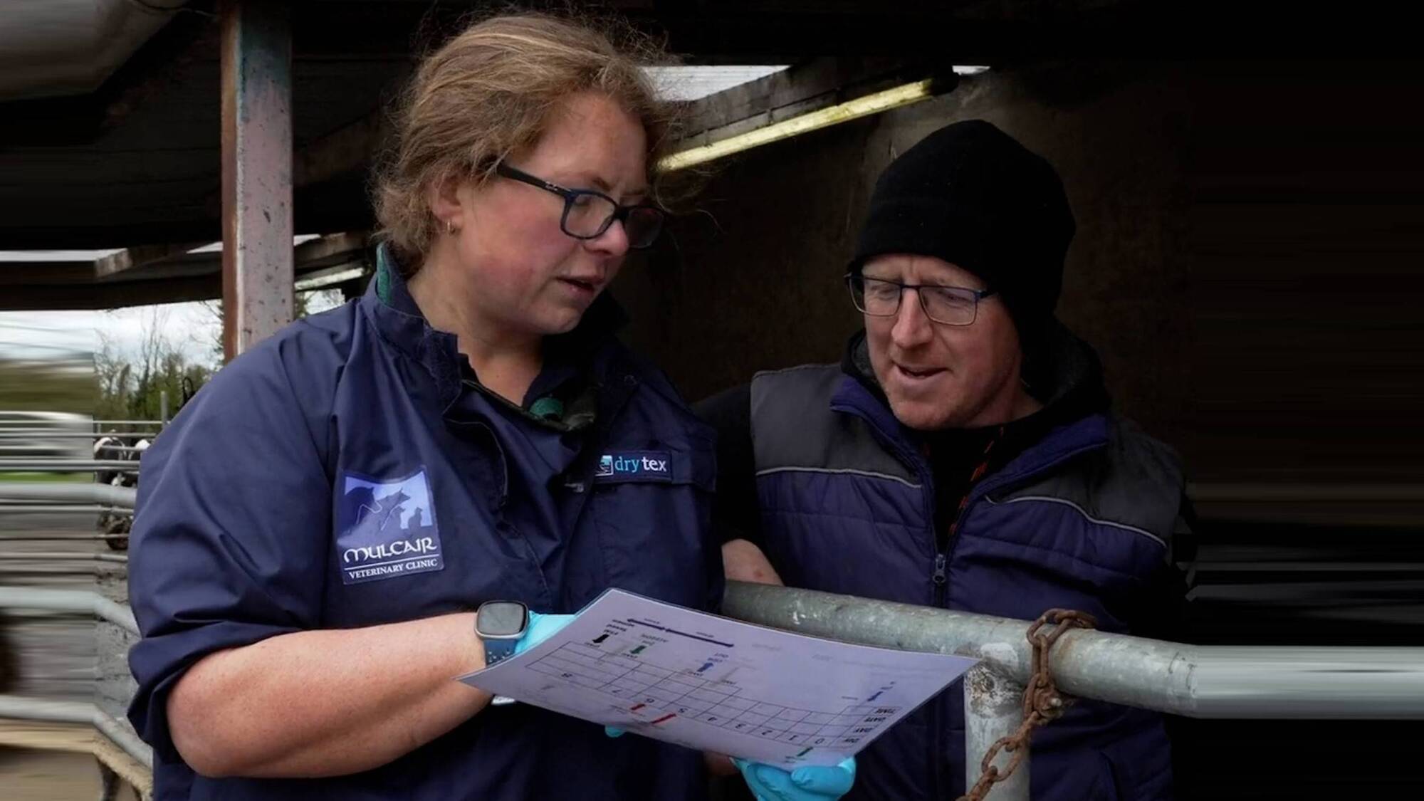 Synch, breed and succeed in Emly, Co Tipperary
