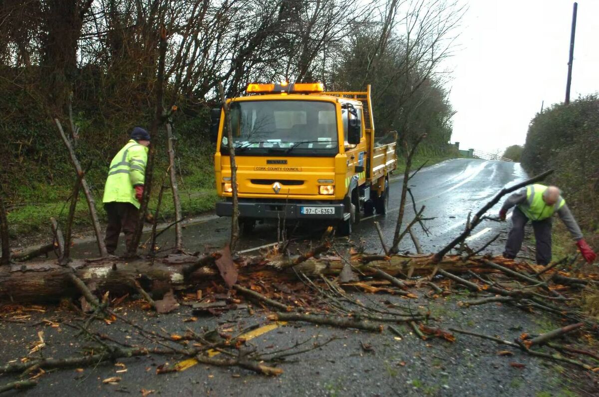 Cork County Council workers clear a fallen tree from the R212 Fermoy to Glanworth road. Picture: Larry Cummins