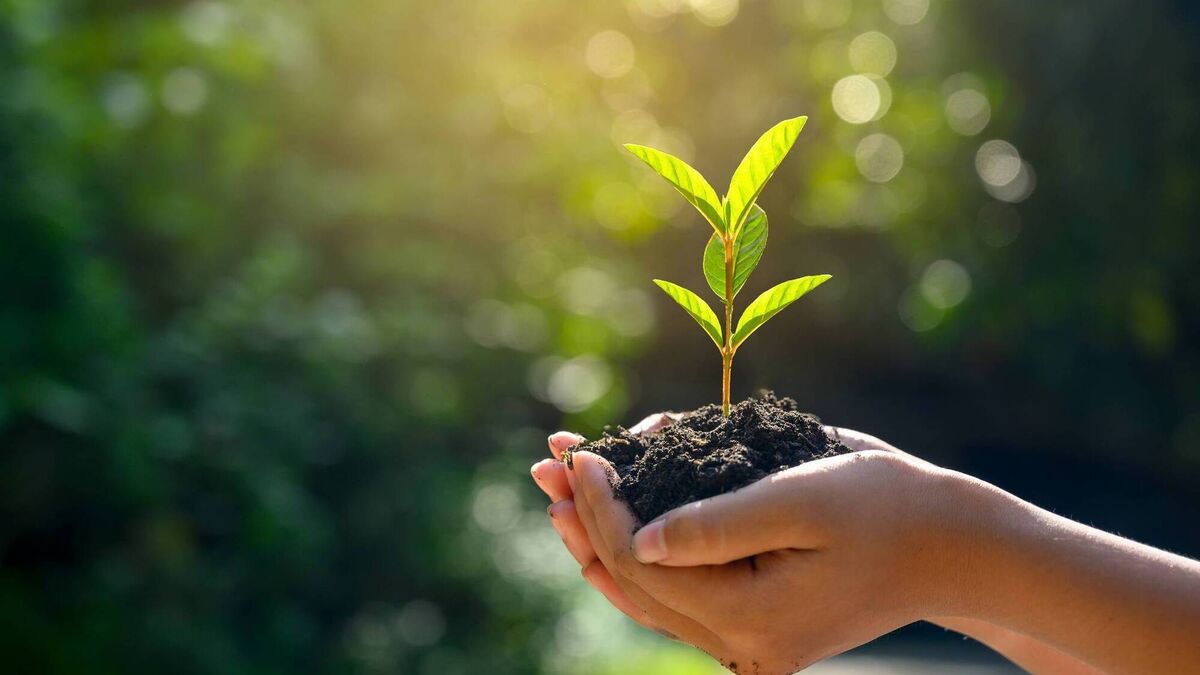 Reframing the picture: Changing the stories we tell ourselves about our lives - Vimarsana News