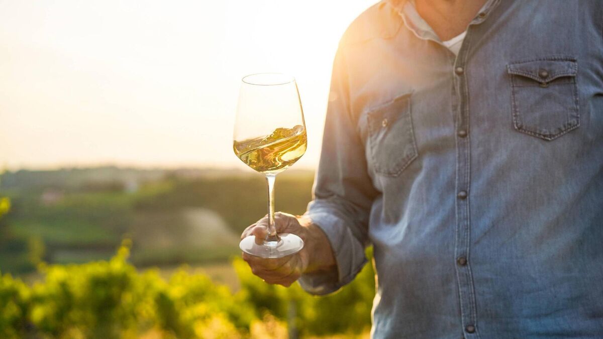 Wine with Leslie: My great white hopes for summer refreshment - Vimarsana News