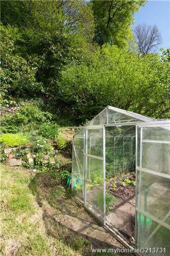 Greenhouse area when the owner was still at home Greenhouse area when the owner was still at home