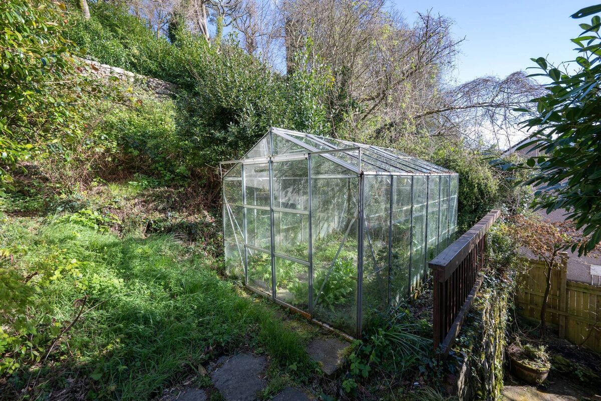 Greenhouse area now Greenhouse area now