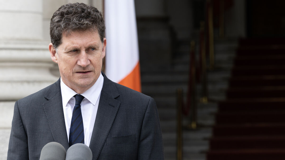 Ryan warns Healy-Raes 'the Kingdom is going green' in local elections - Vimarsana News