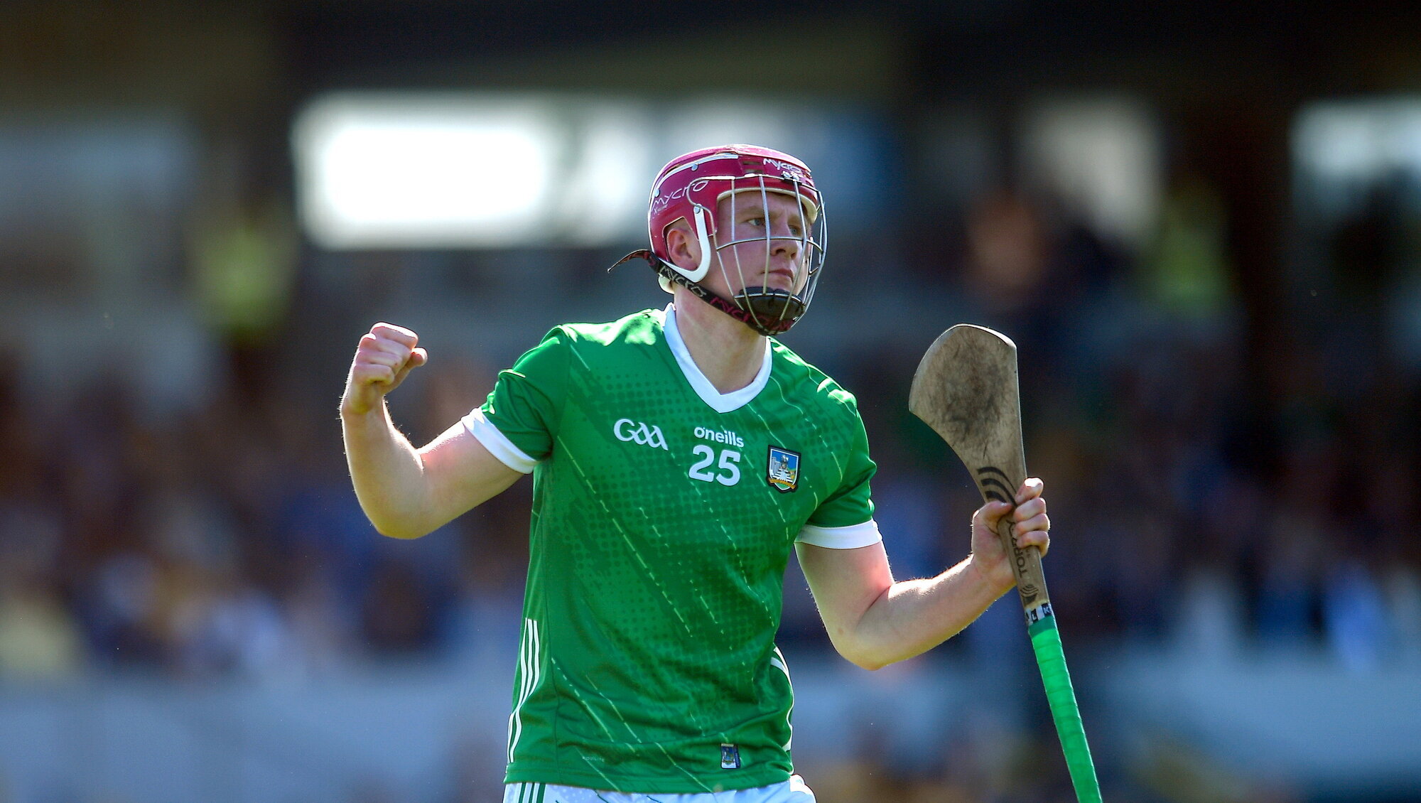 Limerick snatch victory from Clare with late turnaround 