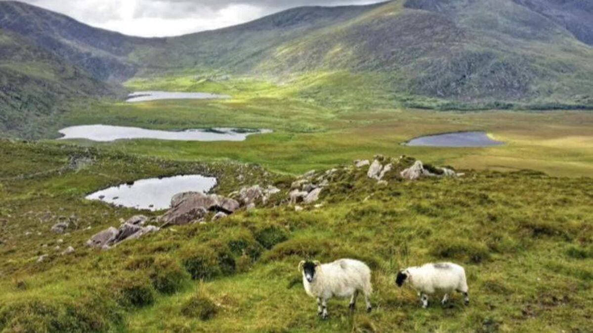 Kerry's Conor Pass to form part of new national park to be unveiled today - Vimarsana News