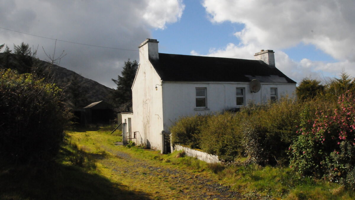 82-acre West Cork farm attracting local and international suitors - Vimarsana News
