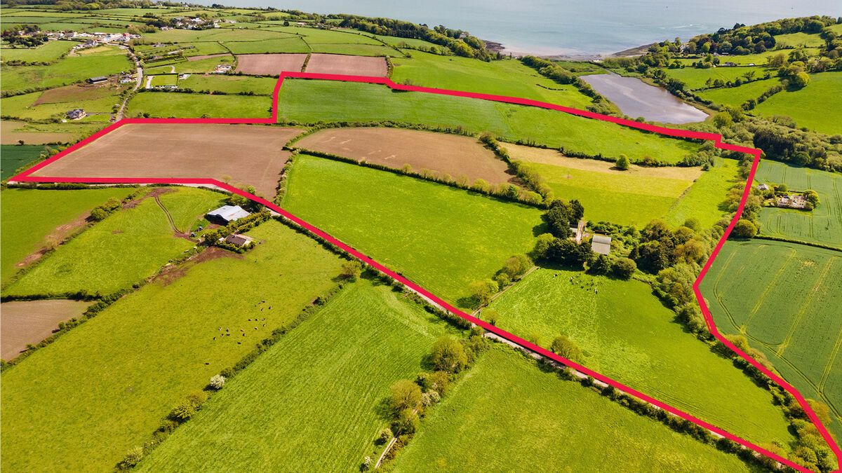 80-acre farm on Cobh Island set for mid-May online auction - Vimarsana News