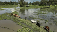 Burundi hard-hit as flooding causes havoc across East Africa